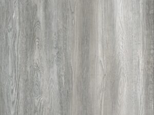 HOM024
